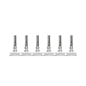 Pacer DTP Deutsch Socket f/10 AWG Wire - Size 12 Contact (25 Pack)