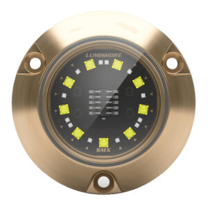 Lumishore ECLIPSE SMX24 Single Light Surface Mount Underwater Light - Blue